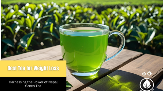 Best Tea for Weight Loss: Harnessing the Power of Nepal Green Tea