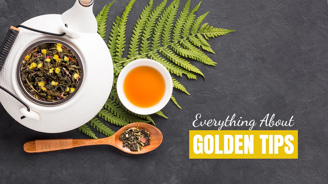 golden tips tea everything you need to know about