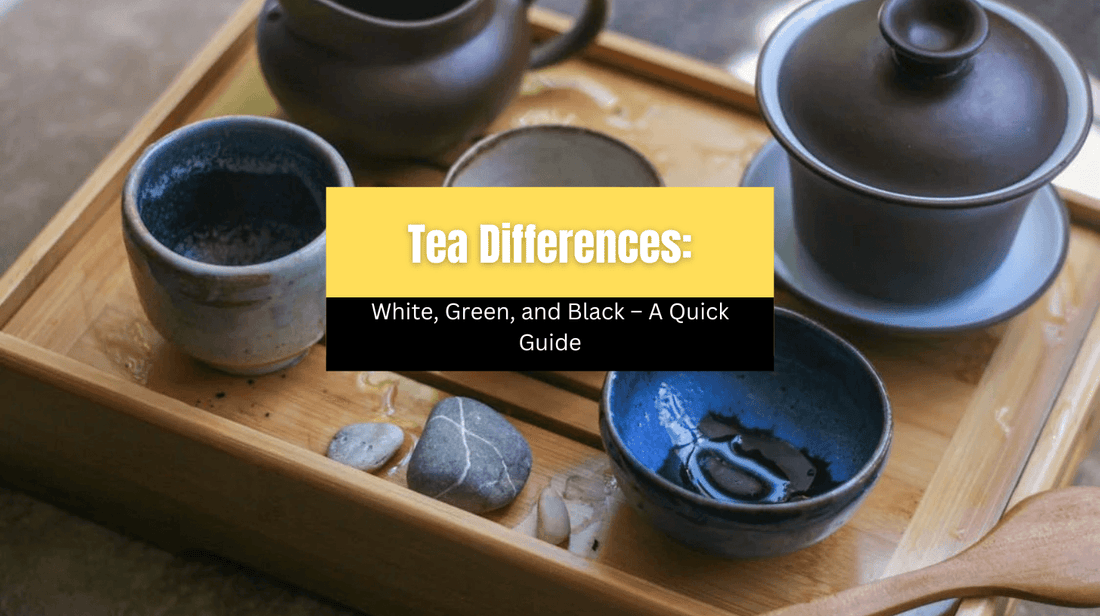 Tea Differences: White, Green, and Black – A Quick Guide