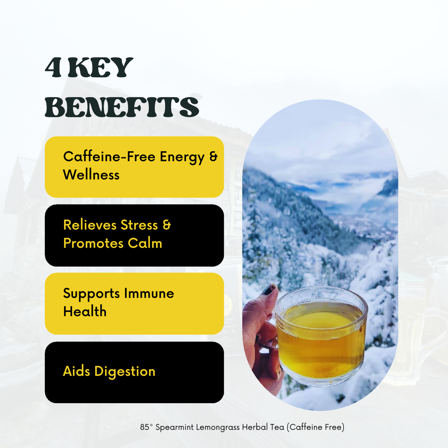 85° Spearmint Lemongrass Herbal Tea (Caffeine Free)