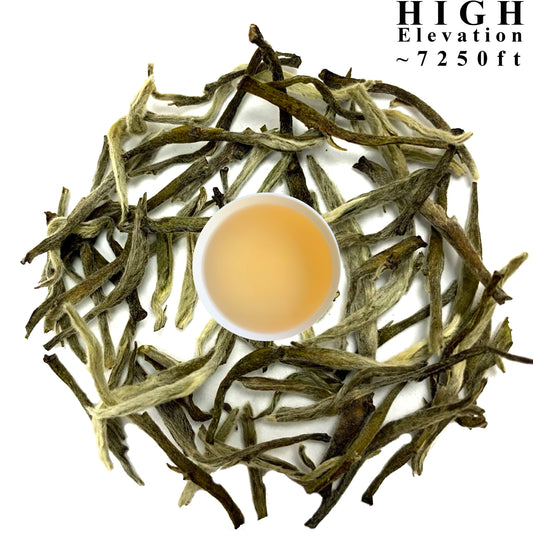 Silver Tips White Tea is the simplest, rarest and most exquisite of teas. Also known as Silver Needle White Tea, it is considered to be the highest grade teas in the world of tea. Some even call it the Champagne of Tea.