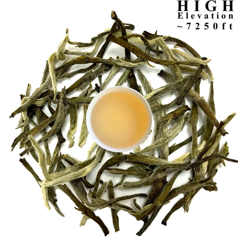 33° Signature High Grown Nepal- Silver Tips Special White Tea