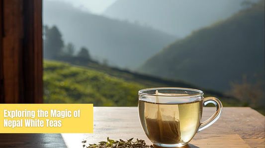 Exploring the Magic of Nepal White Teas