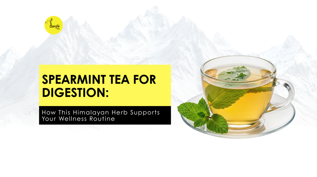Spearmint Tea for Digestion: How This Himalayan Herb Supports Your Wellness Routine