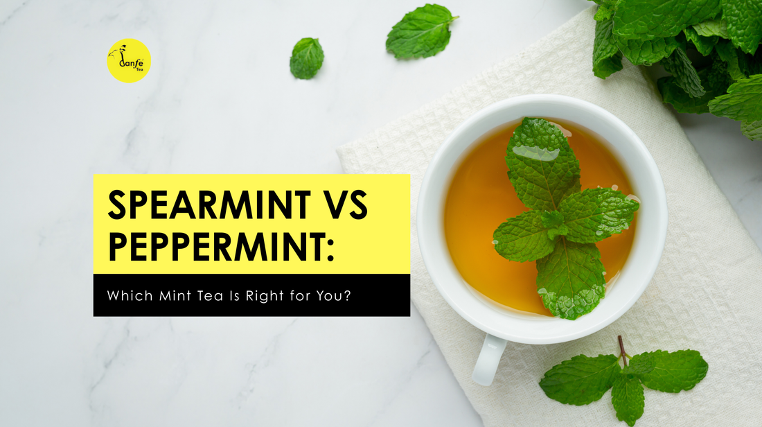 Spearmint vs Peppermint: Which Mint Tea Is Right for You?