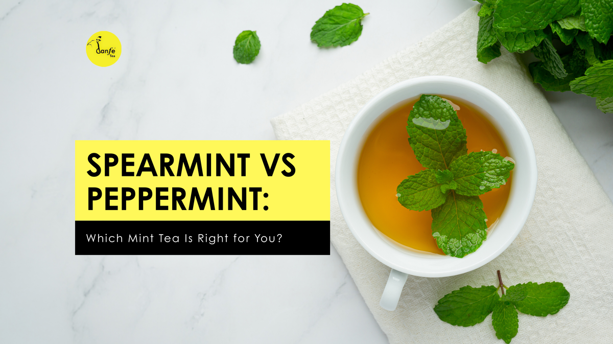 Spearmint vs Peppermint: Which Mint Tea Is Right for You? – Danfe Tea