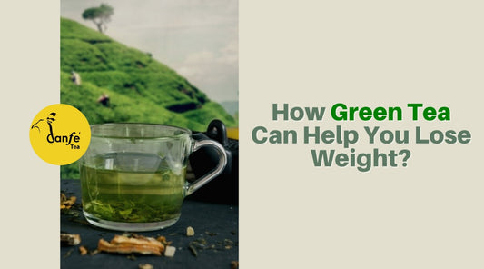 How Green Tea Can Help You Lose Weight