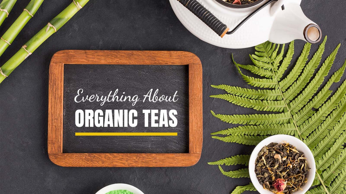 Organic Teas: Everything You Need to Know