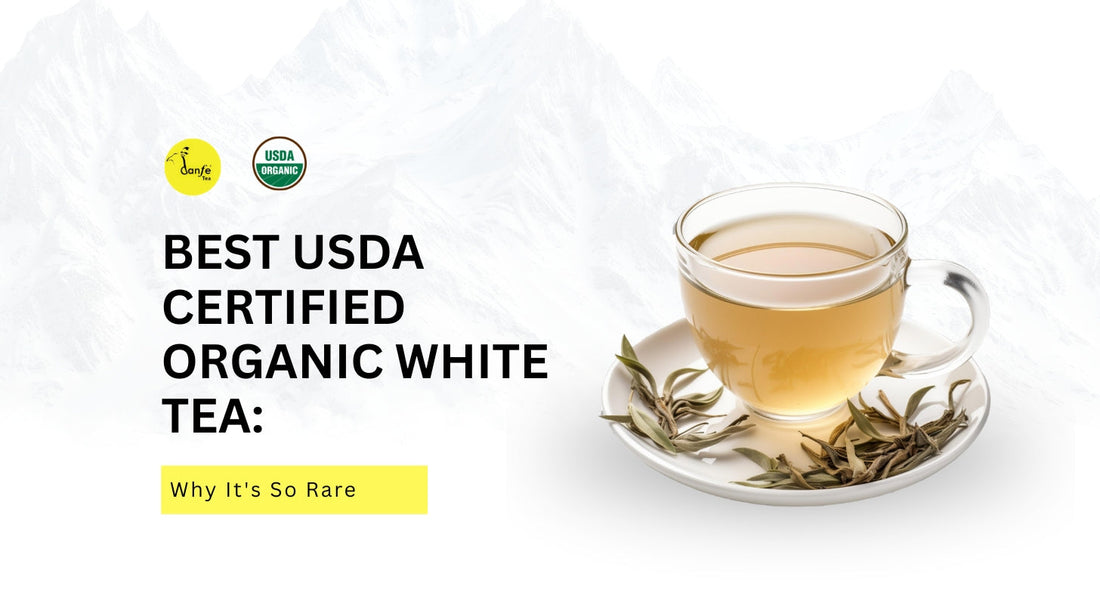 Best USDA Certified Organic White Tea: Why It's So Rare