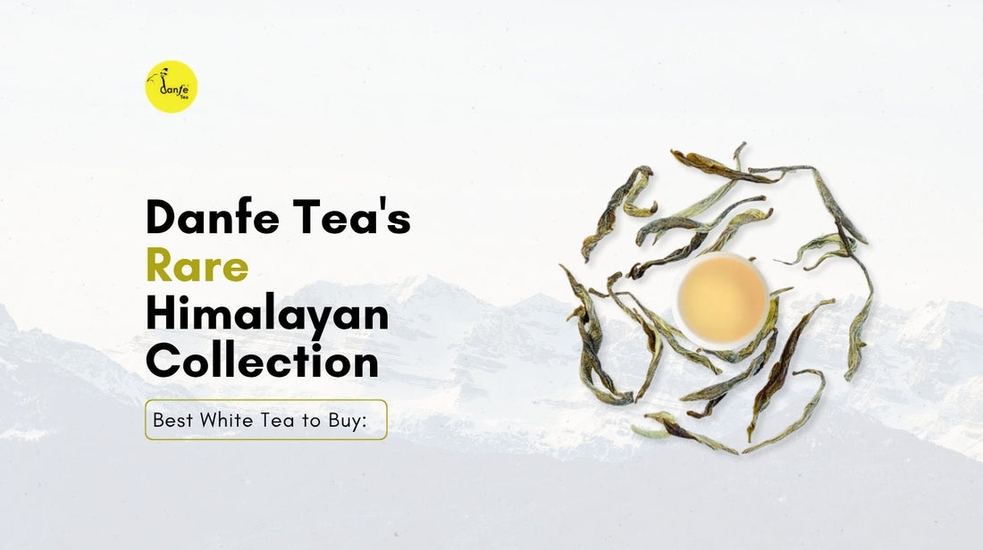 Best White Tea to Buy: Danfe Tea's Rare Himalayan Collection