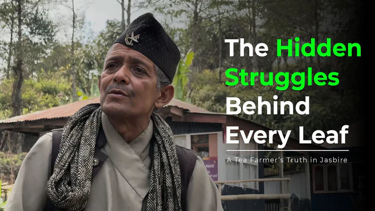 The Hidden Struggles Behind Every Leaf – A Tea Farmer’s Truth in Jasbire