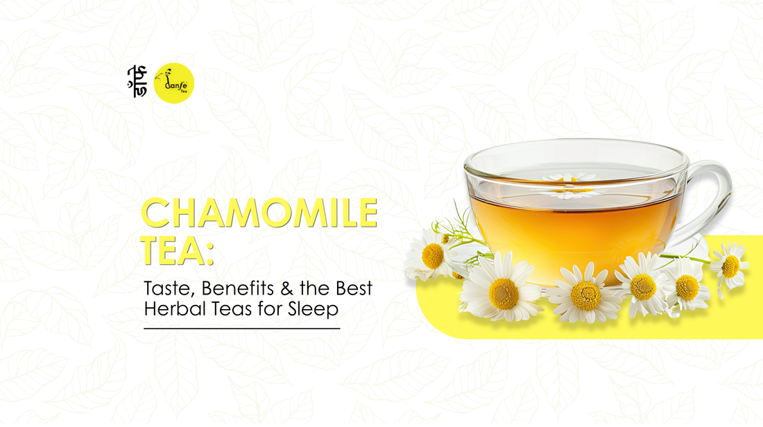 Chamomile Tea: Taste, Benefits & the Best Herbal Teas for Sleep
