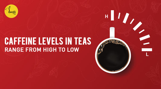 caffeine level in teas