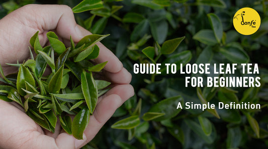 Loose leaf tea for beginners