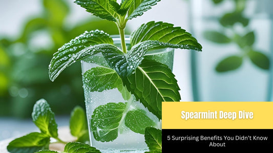 Spearmint Deep Dive: 5 Surprising Benefits You Didn’t Know About