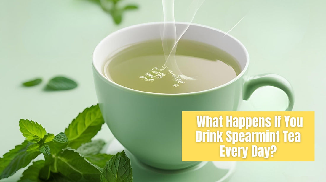 What Happens If You Drink Spearmint Tea Every Day? A Gentle, Caffeine-Free Herbal Routine