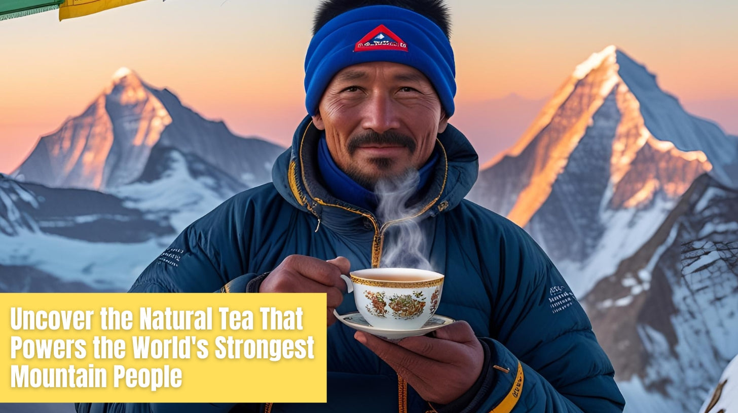 Uncover the Natural Tea That Powers the World's Strongest Mountain Peo ...