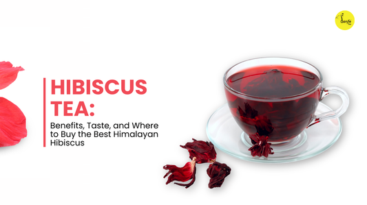 Hibiscus Tea: Benefits, Taste, and Where to Buy the Best Himalayan Hibiscus