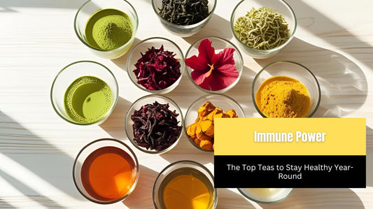 Immune Power: The Top Teas to Stay Healthy Year-Round