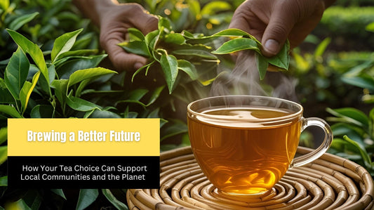 Brewing a Better Future