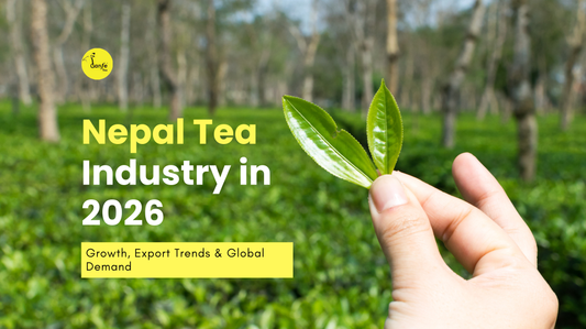 Nepal Tea Industry in 2026: Growth, Export Trends & Global Demand