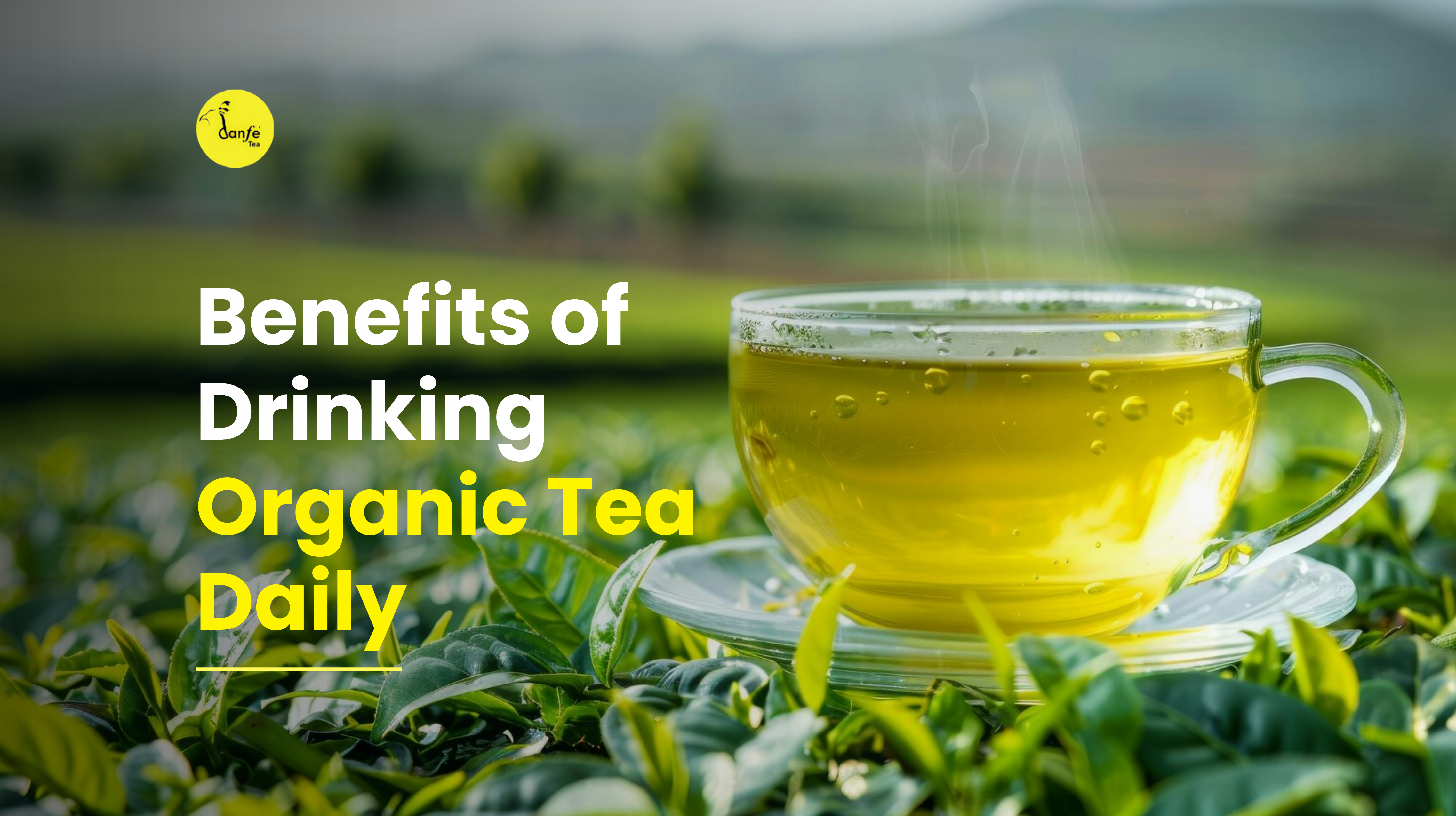 Benefits of Drinking Organic Tea Daily – Danfe Tea