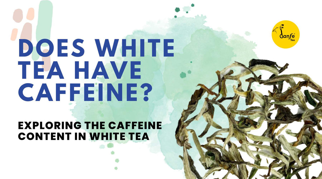 Does White Tea Have Caffeine