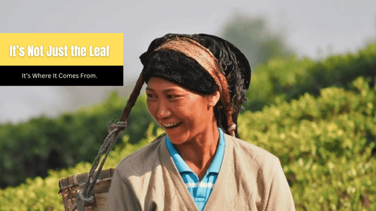 Why does tea taste different?