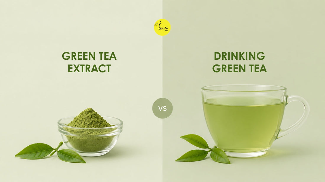 Green Tea Extract vs. Drinking Green Tea: Which Is Better?
