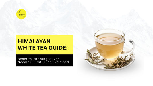 Himalayan White Tea Guide: Benefits, Brewing, Silver Needle & First Flush
