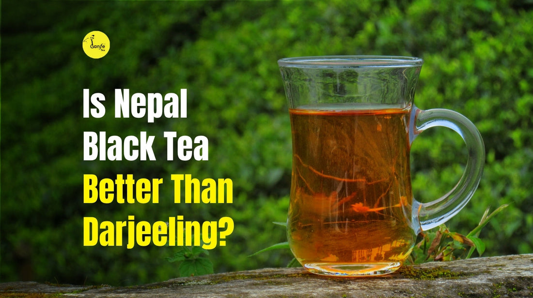 Nepal Black Tea vs Darjeeling: Which Is Better?