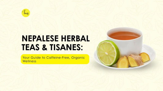 Herbal Teas & Tisanes from Nepal: Wellness Guide
