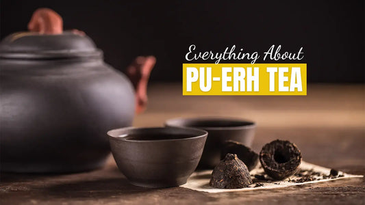 Pu-Erh Tea: Everything You Need to Know