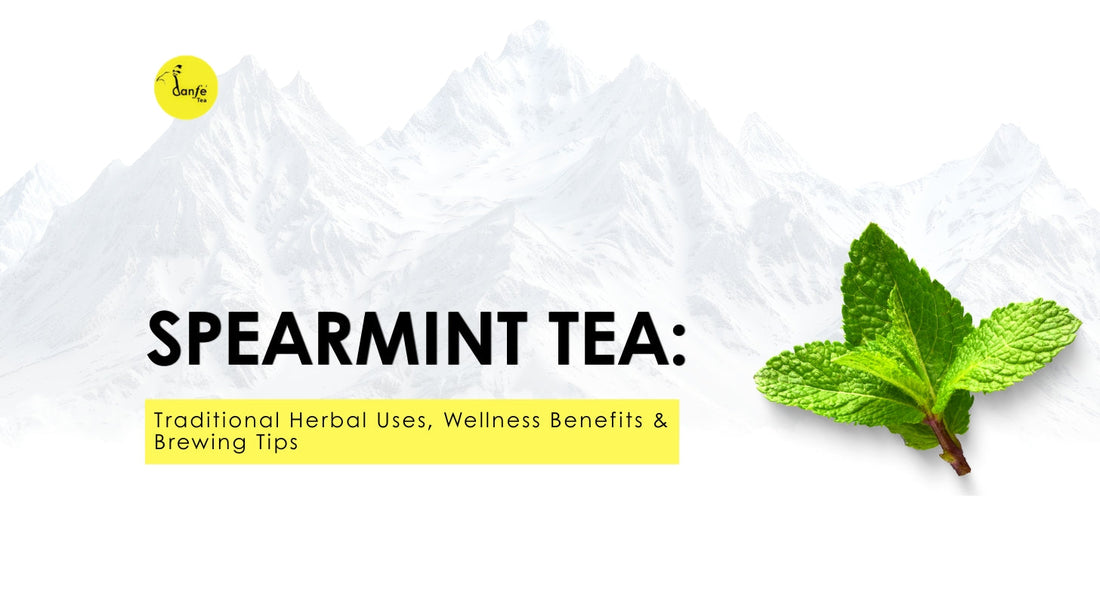 Spearmint Tea: Traditional Herbal Uses, Wellness Benefits & Brewing Tips