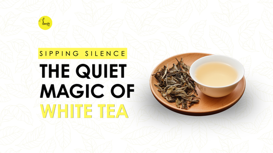 Sipping Silence, The Quiet Magic of White Tea