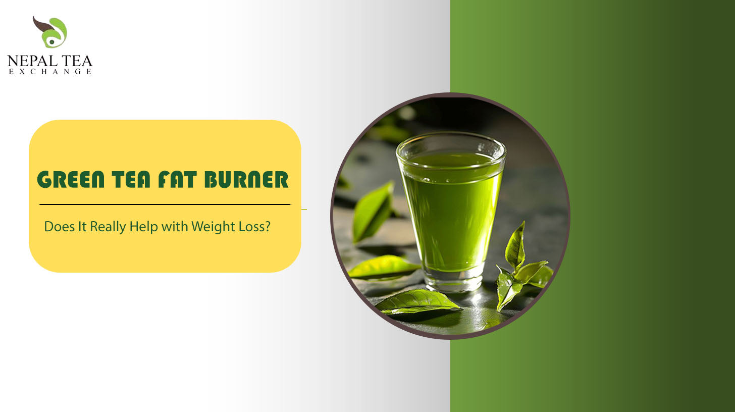 Green Tea for Weight Loss: Does It Really Help Burn Fat? – Danfe Tea