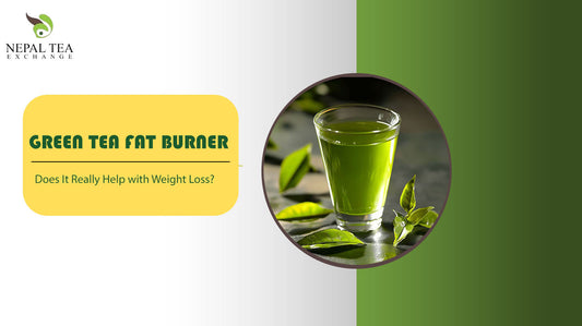 Green Tea for Weight Loss: Does It Really Help Burn Fat?