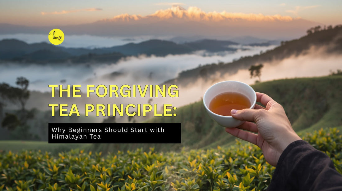 The Forgiving Tea Principle: Why Beginners Should Start with Himalayan Tea | Danfe Tea