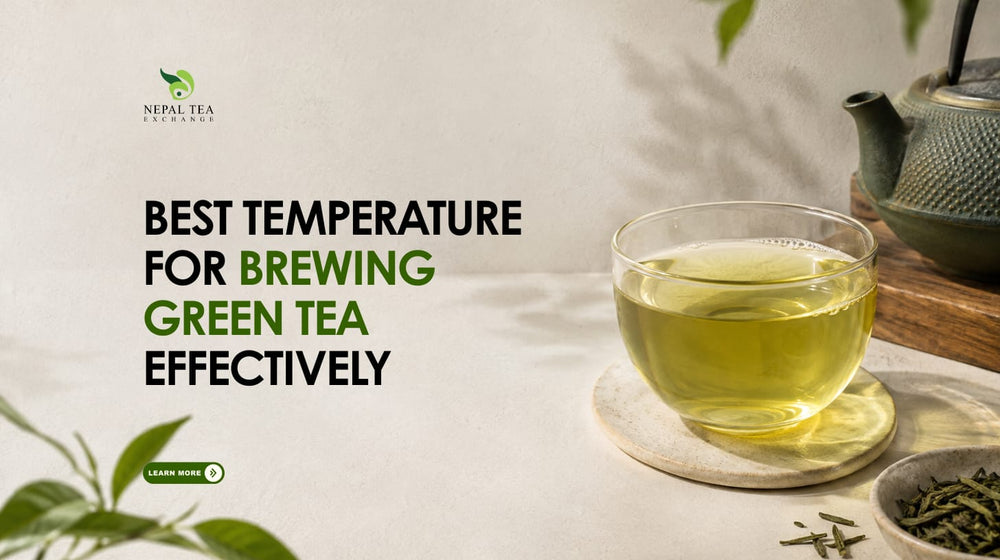 Best Temperature for Brewing Green Tea Effectively