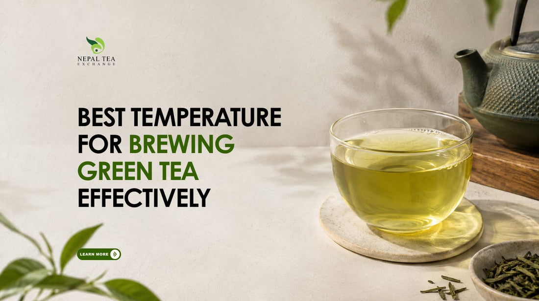 Best Temperature for Brewing Green Tea Effectively