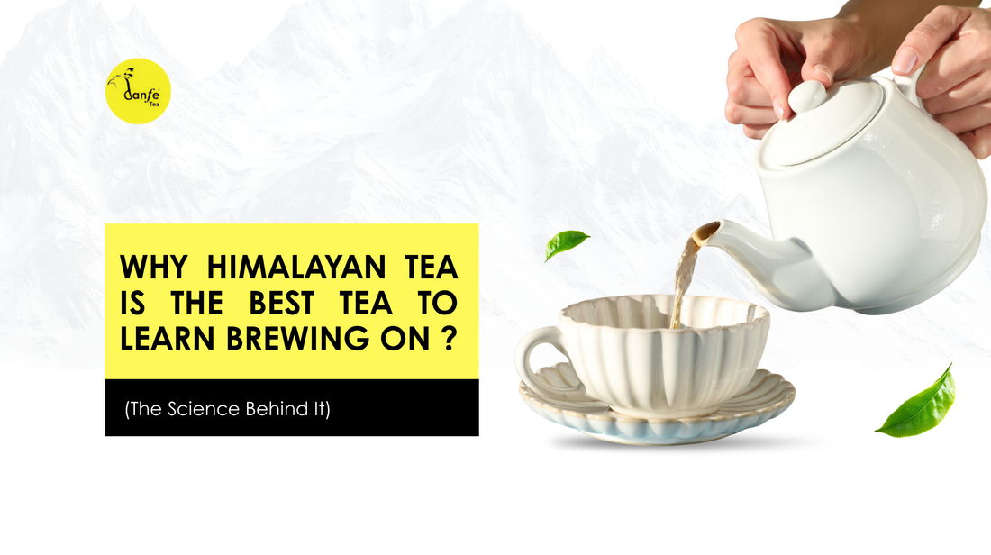 Why Himalayan Tea Is the Best Tea to Learn Brewing On (The Science Behind It)