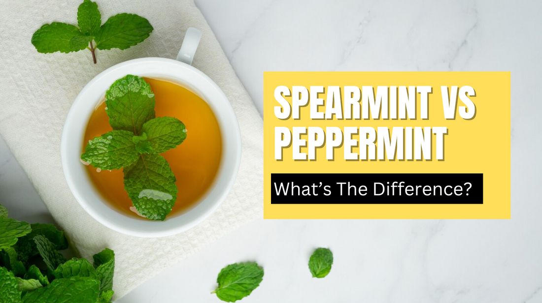 Spearmint vs Peppermint