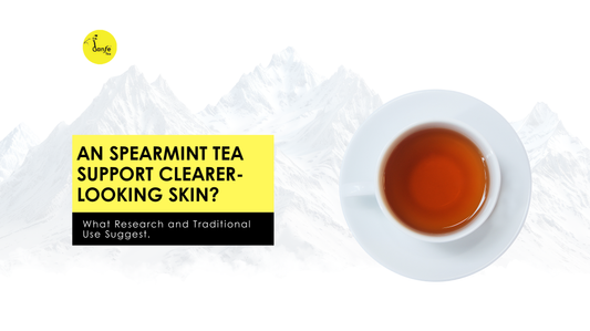 Can Spearmint Tea Support Clearer-Looking Skin? What Research and Traditional Use Suggest