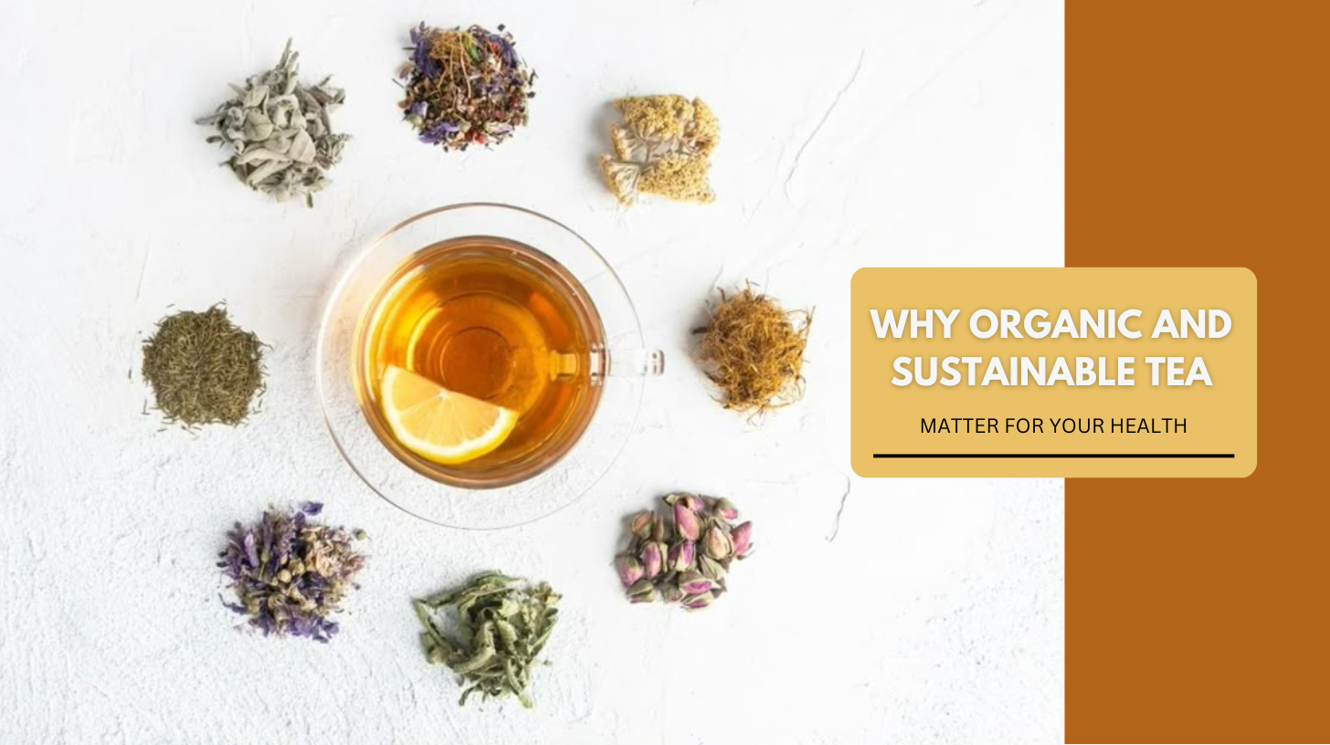 Why Organic & Sustainable Tea Matters for Your Health – Danfe Tea
