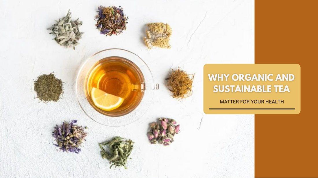 Why Organic & Sustainable Tea Matters for Your Health