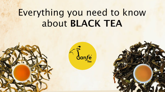 Black Tea: Origins, Benefits & How to Brew