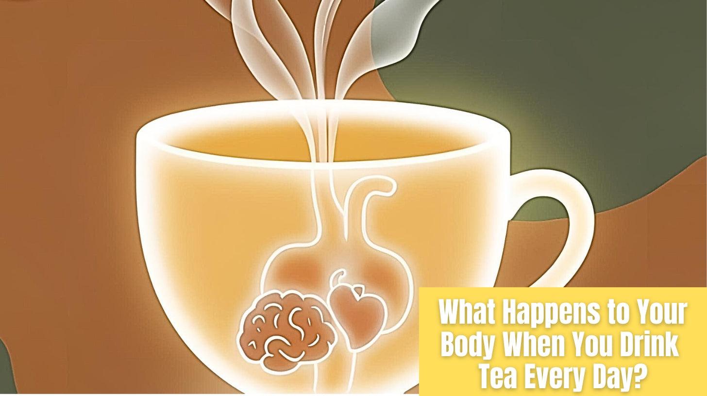 Body With Tea What Happens to Your Body When You Drink Tea Every Day? – Danfe Tea