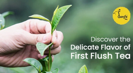 everything you need to know about first flush tea