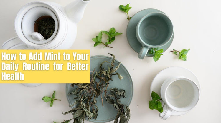 How to Add Mint to Your Daily Routine for Better Health – Danfe Tea