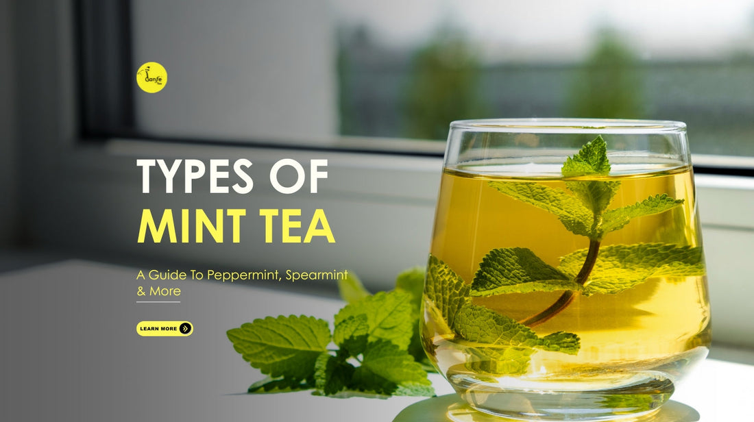 Types Of Mint Tea: A Guide To Peppermint, Spearmint & More